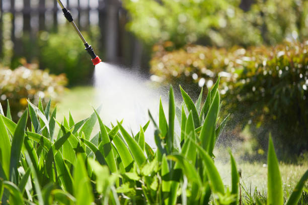24/7 Emergency Wasp Removal experts in Urbana, IL