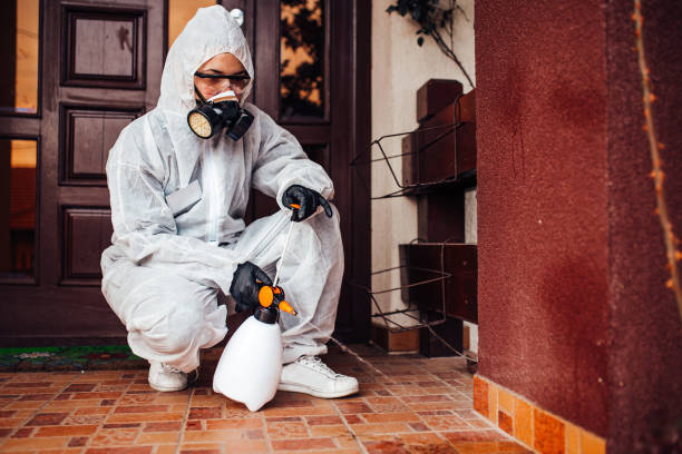 Reliable Wasp Removal contractor in Urbana, IL by Show Me Pest Control